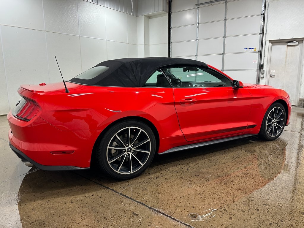 2020 Ford Mustang EcoBoost Premium photo 5