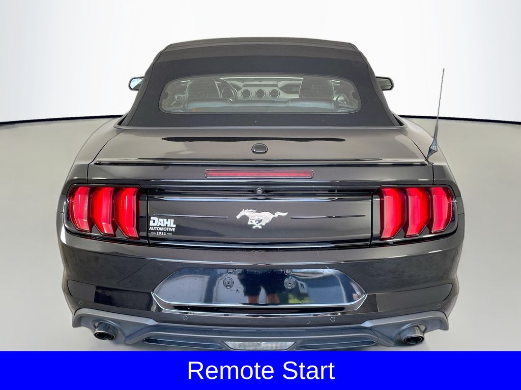 2023 Ford Mustang EcoBoost Premium photo 6
