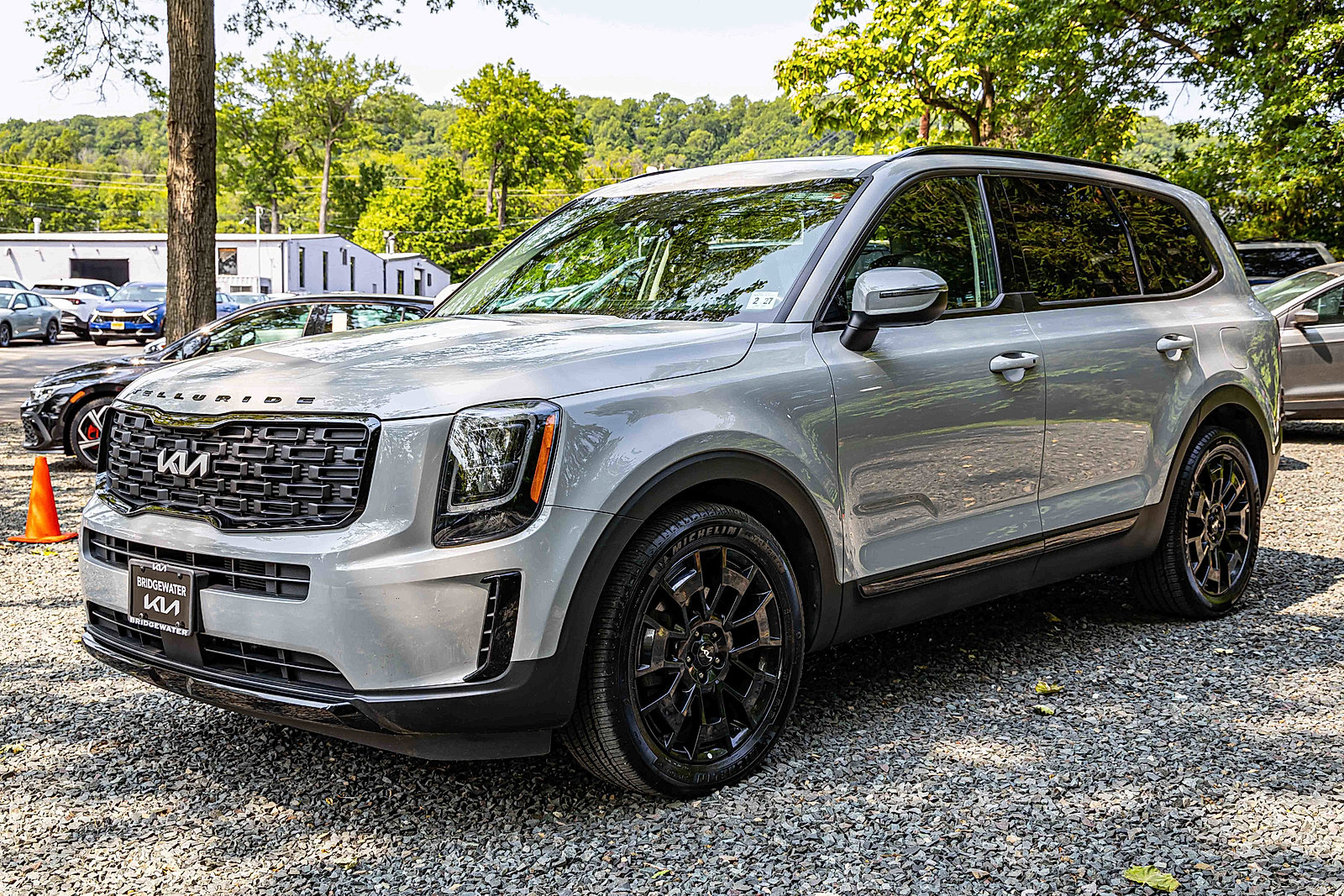 2022 Kia Telluride EX photo 3