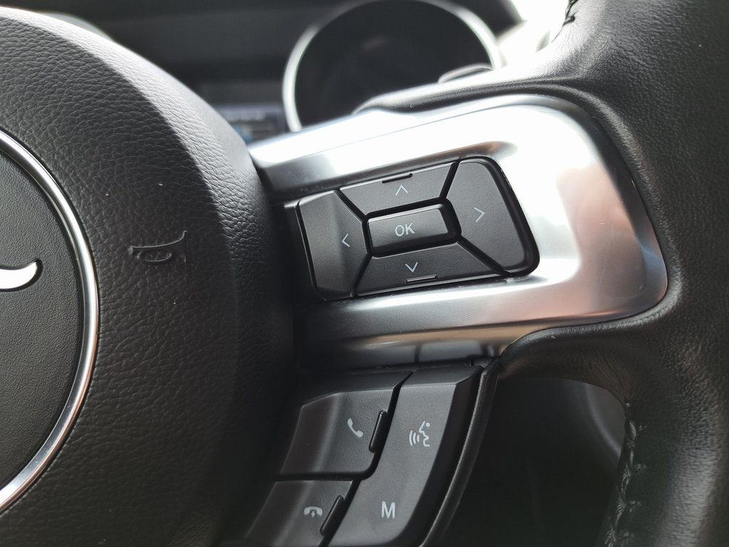 2020 Ford Mustang EcoBoost Premium photo 17
