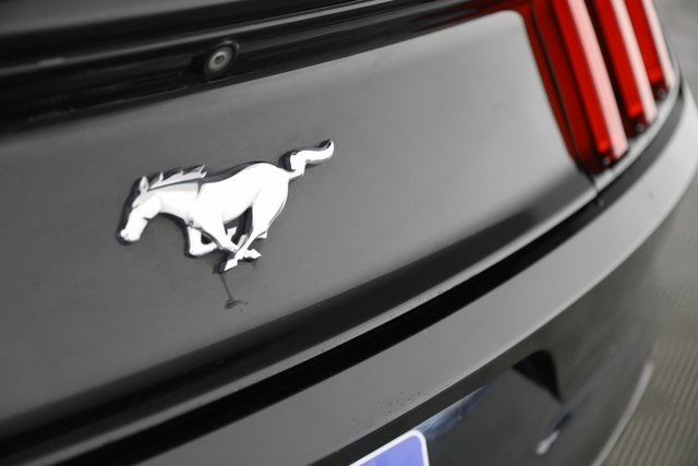 2017 Ford Mustang EcoBoost photo 26