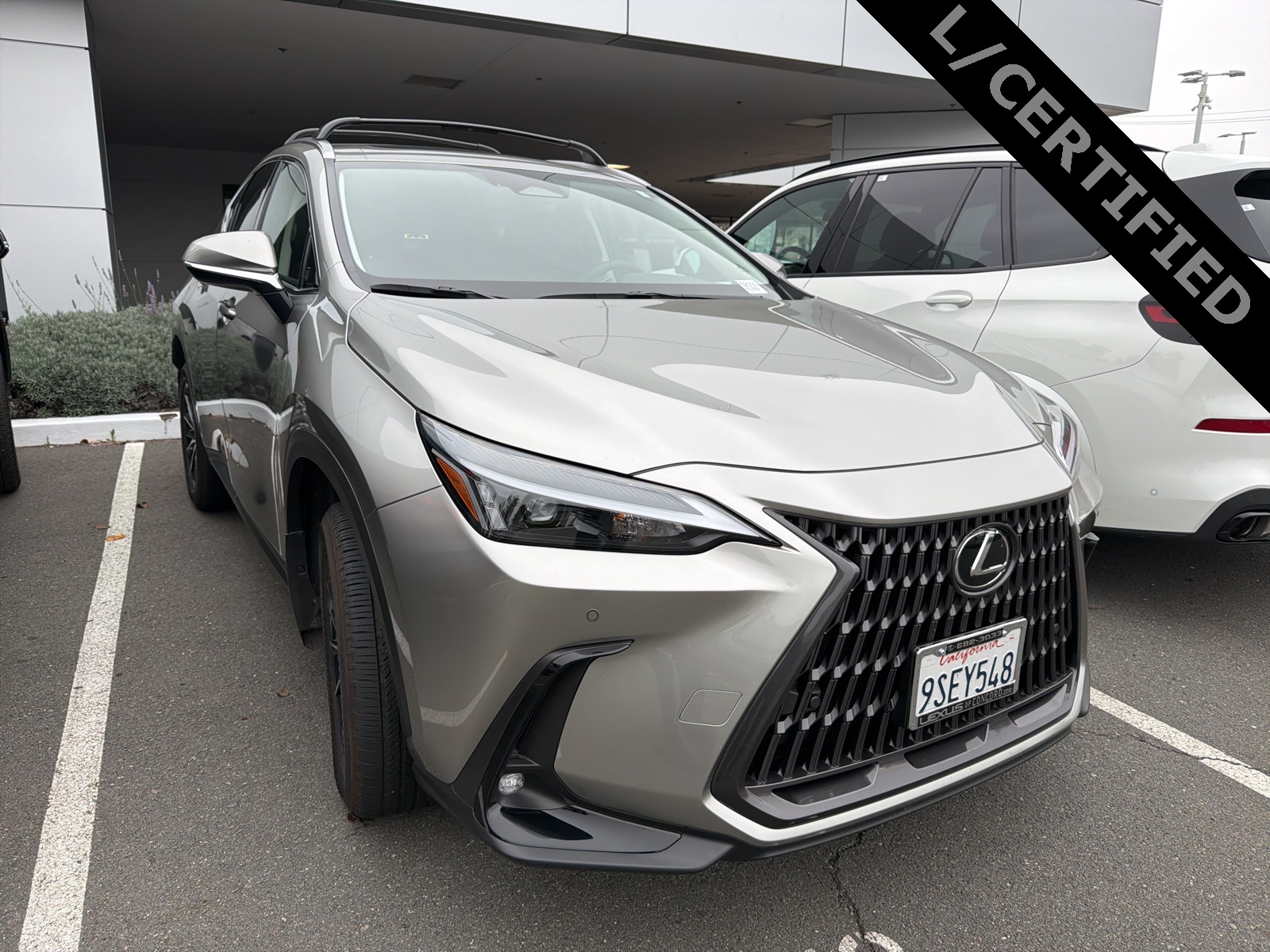 2025 Lexus NX Hybrid 350h's photo
