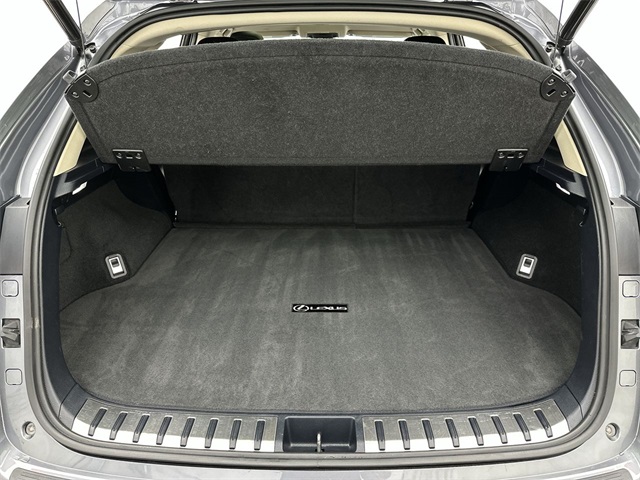2020 Lexus NX 300 Premium photo 15