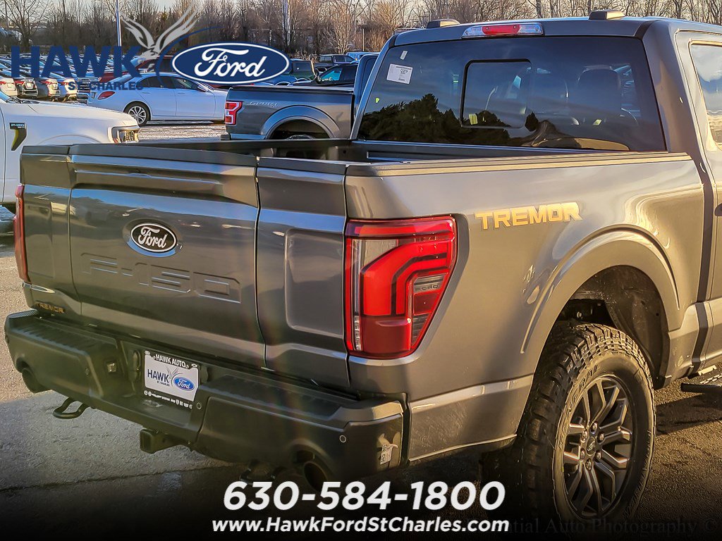 2025 FORD F-150 - Image 5