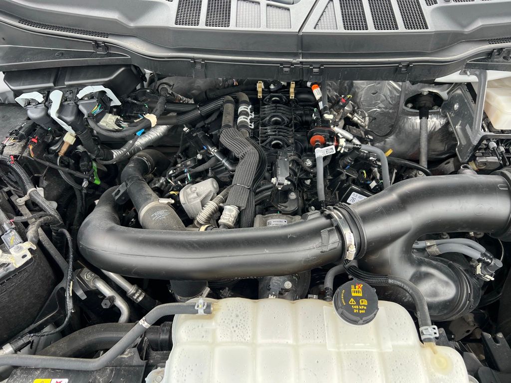 2024 Ford F-150 XLT photo 42