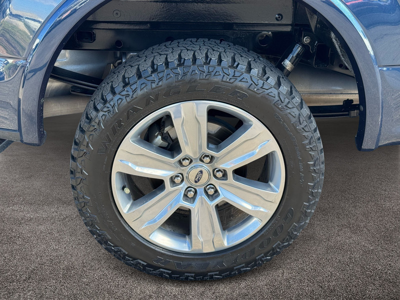 2020 Ford F-150 Platinum photo 7