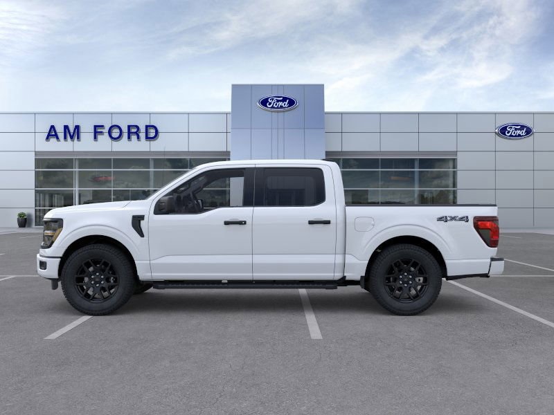 2025 Ford F-150 STX photo 3