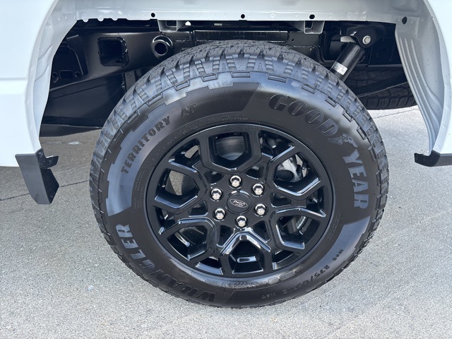 2025 Ford F-150 STX photo 9