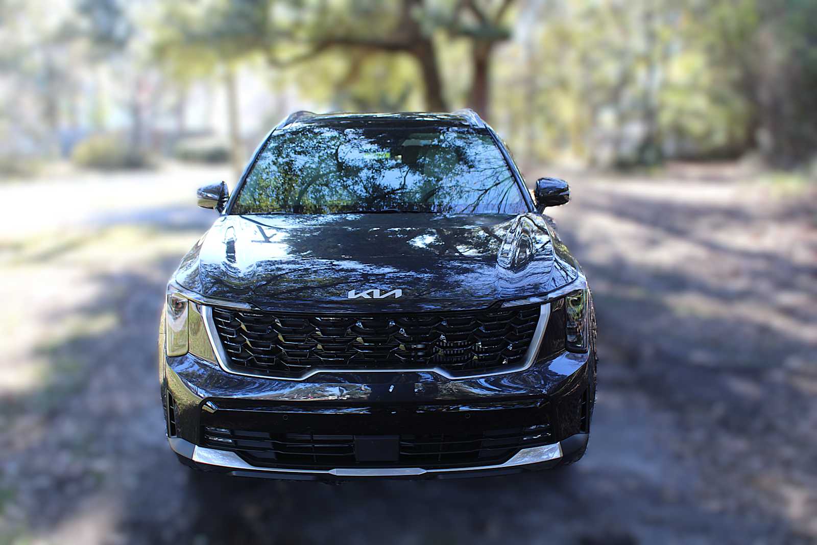 2025 Kia Sorento EX photo 14