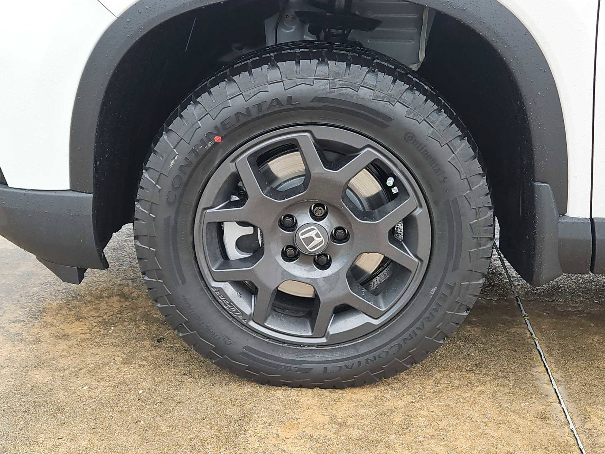 2025 Honda Pilot TrailSport photo 8