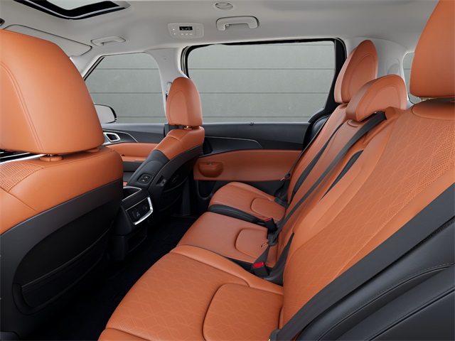 2026 Kia Carnival SX photo 9