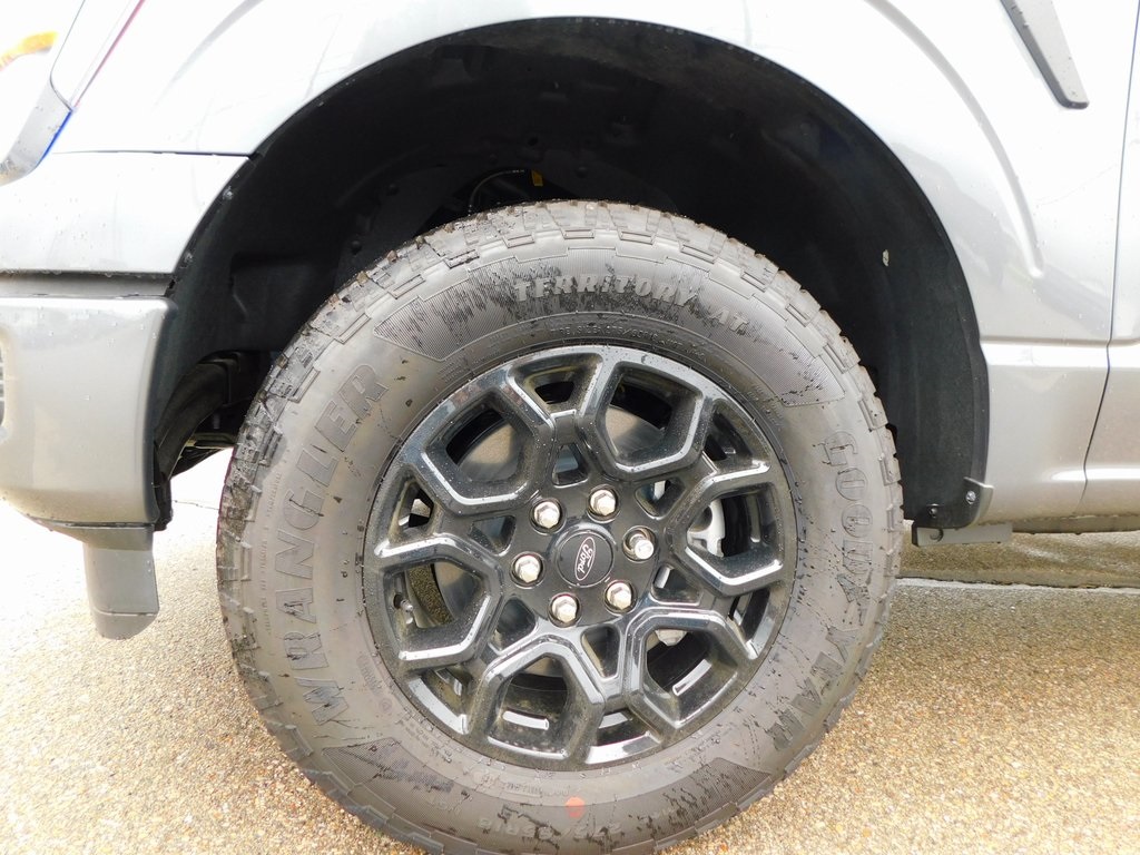 2025 Ford F-150 STX photo 11
