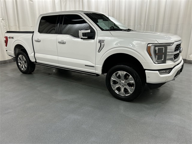 2021 Ford F-150 Platinum's photo
