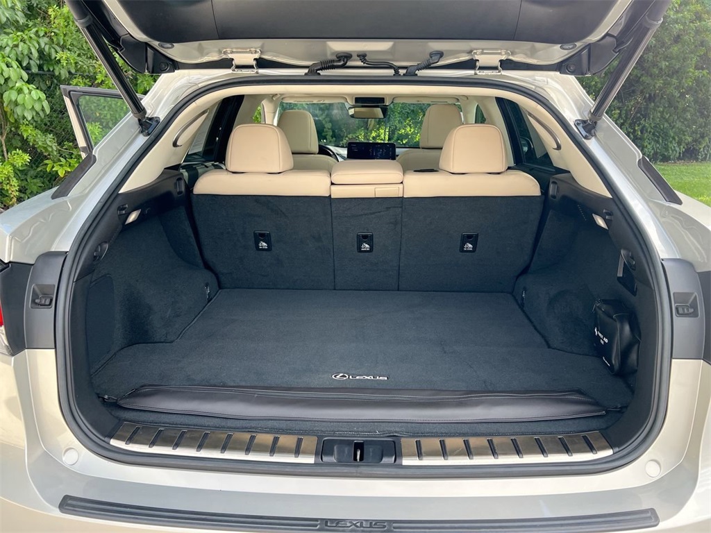 2021 Lexus RX 350 photo 18