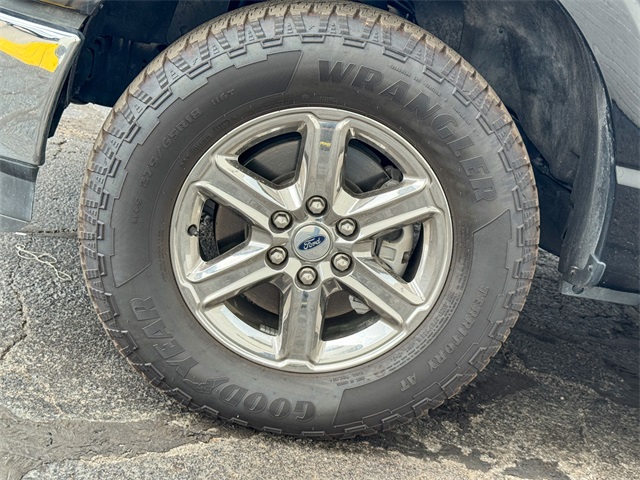 2024 Ford F-150 XLT photo 11