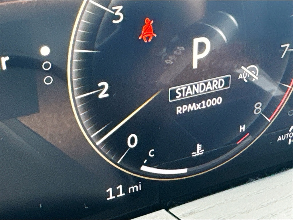 2026 Infiniti QX80 Sensory photo 12