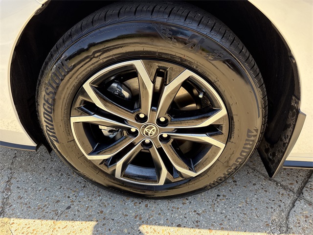 2025 Toyota Sienna Platinum photo 10