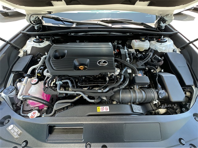 2025 Lexus ES 300h Premium photo 25