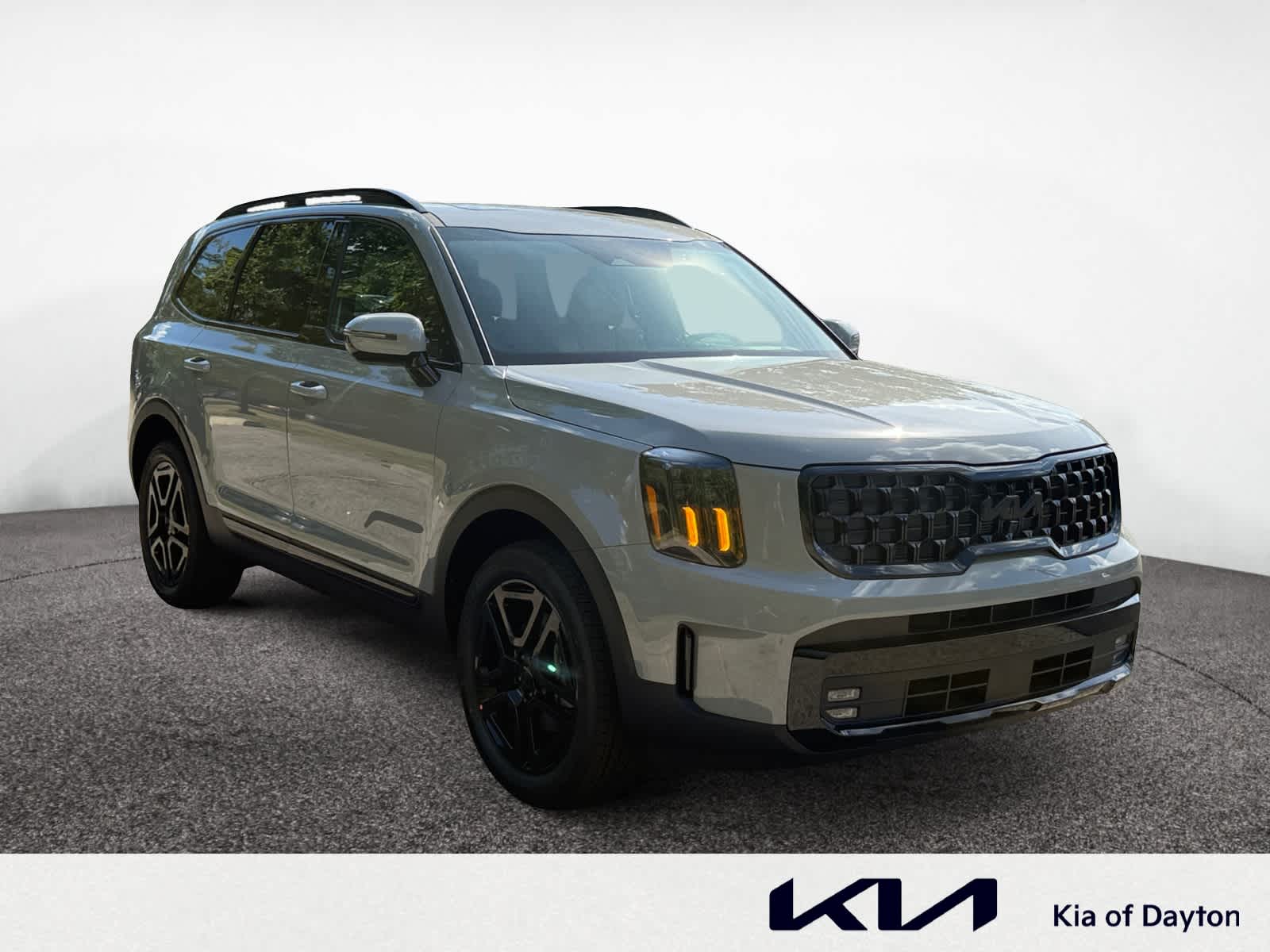 2025 Kia Telluride X-Line photo 7