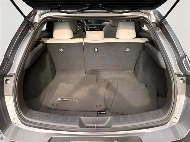 2021 Lexus UX 200 photo 8