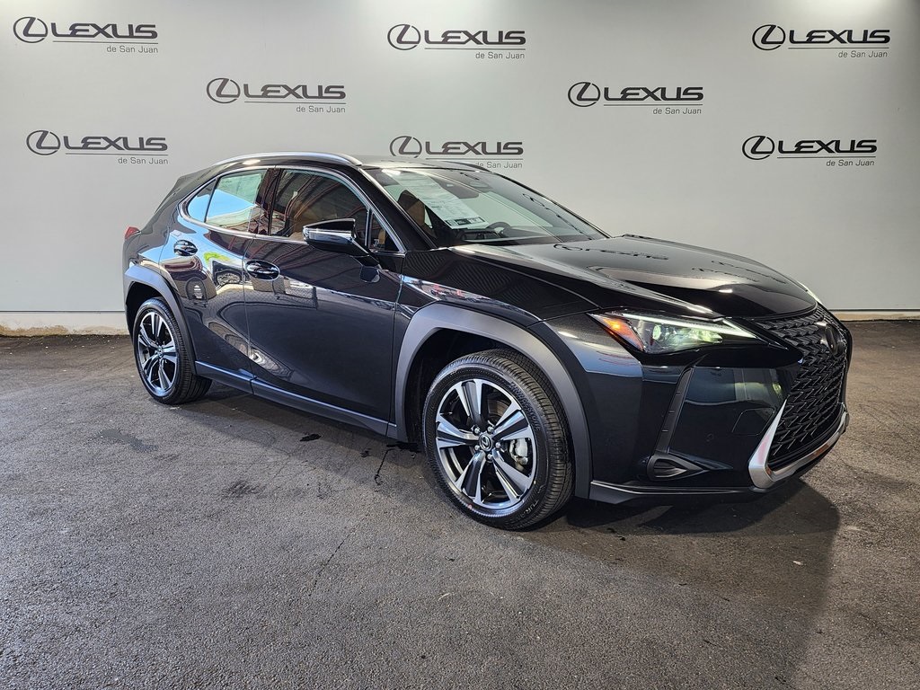 2025 Lexus UX photo 3
