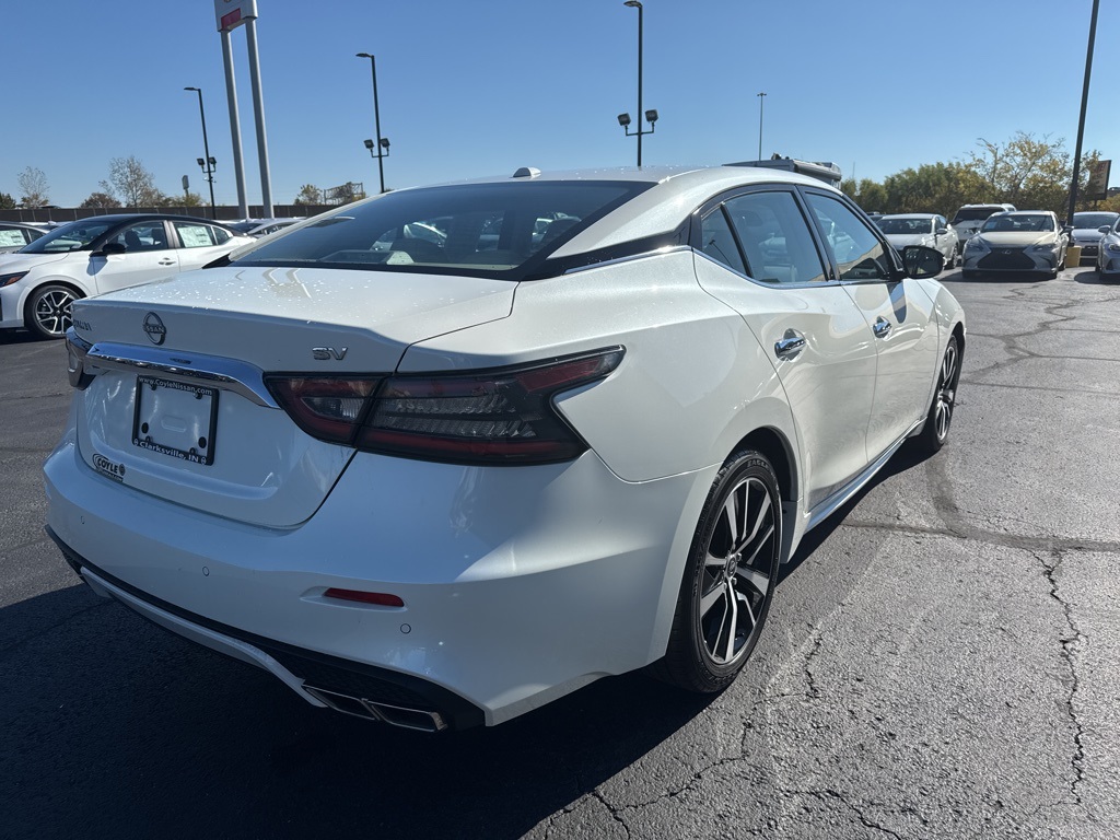 2023 Nissan Maxima SV photo 3