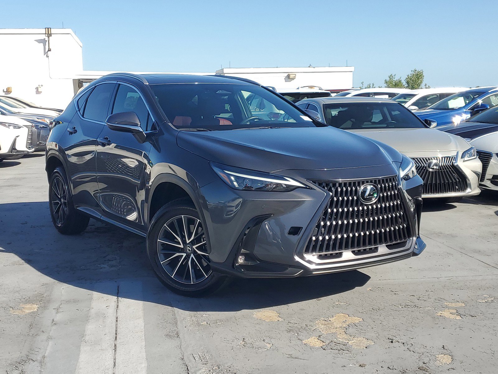 2024 Lexus NX 250 Premium photo 2