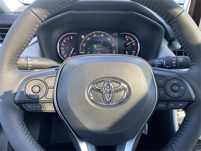 2025 Toyota RAV4 XLE photo 9