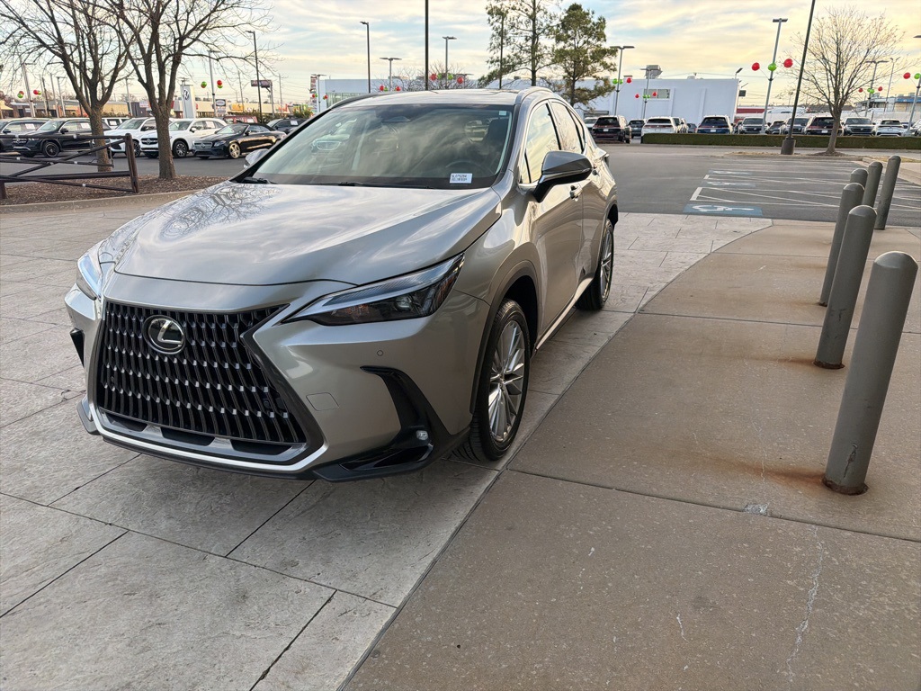 2025 Lexus NX 350's photo