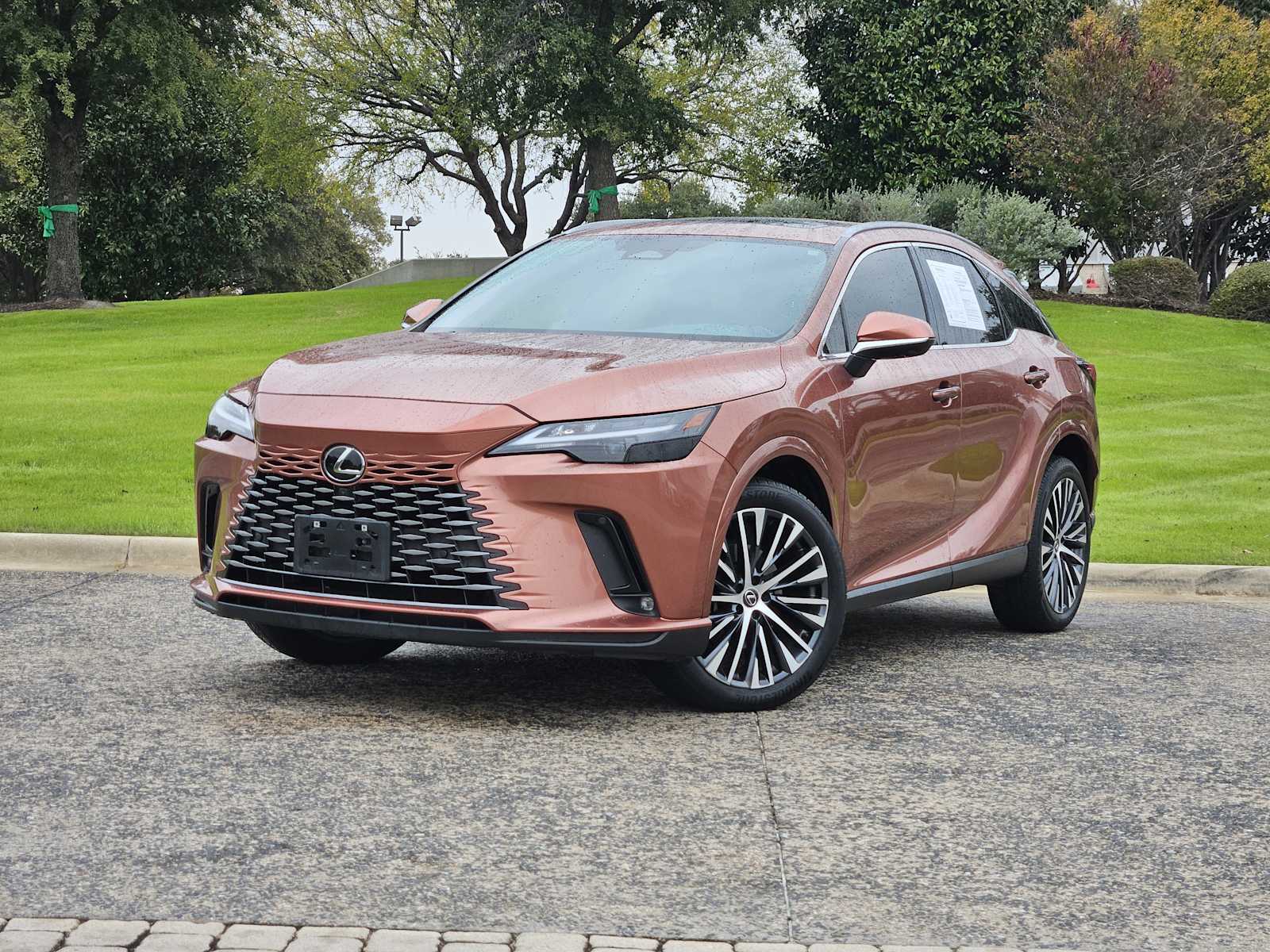 2023 Lexus RX 350's photo