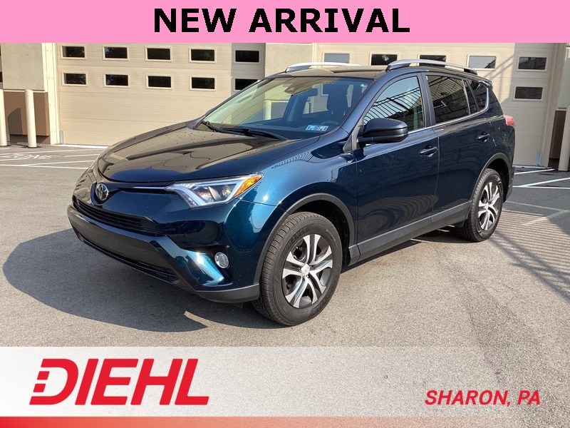 2017 Toyota RAV4 LE Sport photo 2