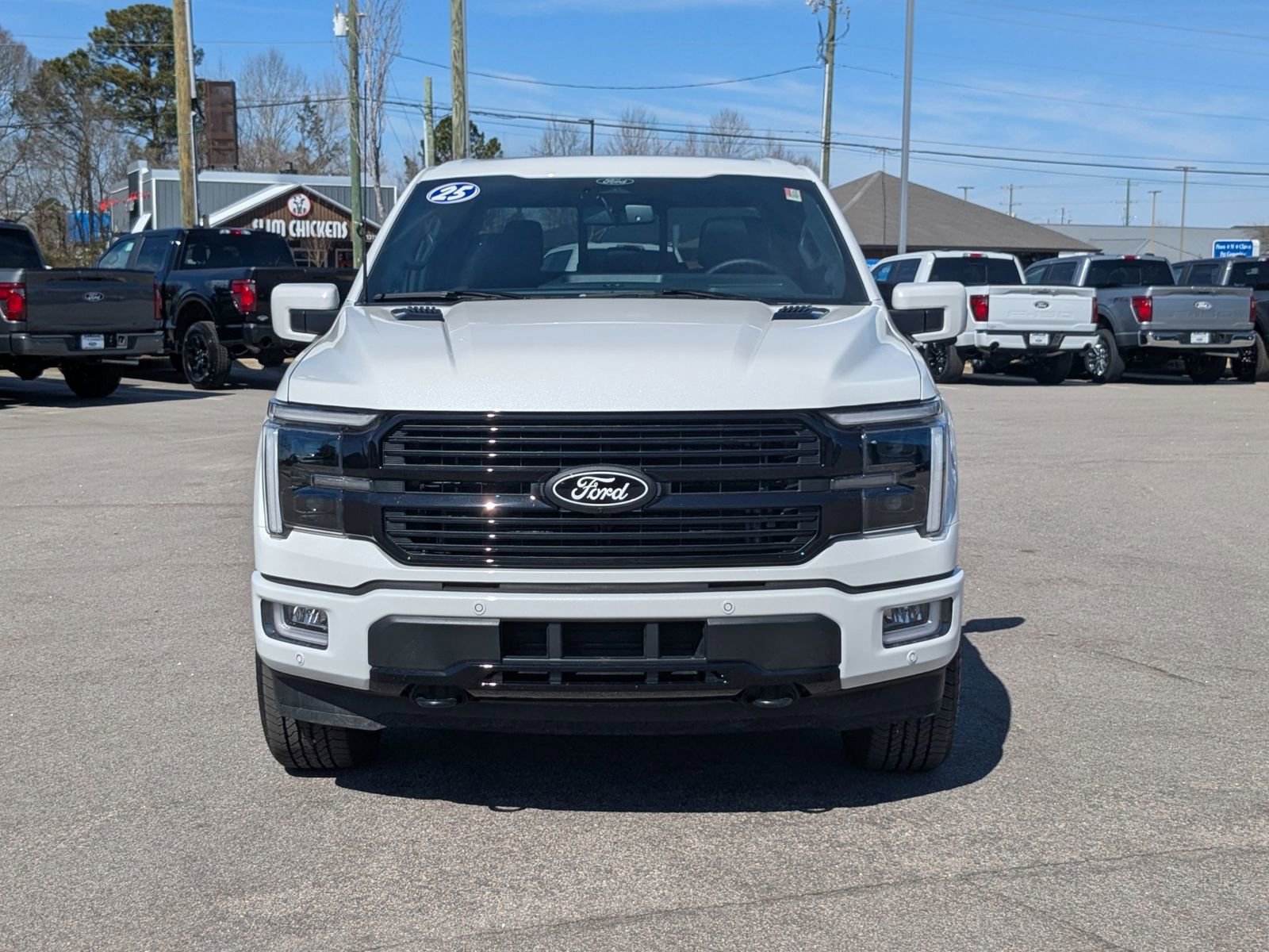 2025 Ford F-150 Platinum photo 4