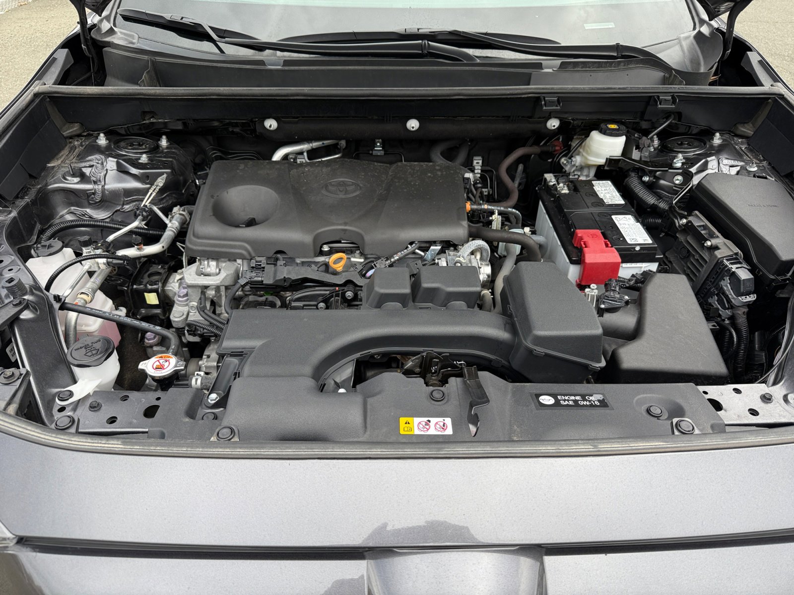 2024 Toyota RAV4 LE photo 19