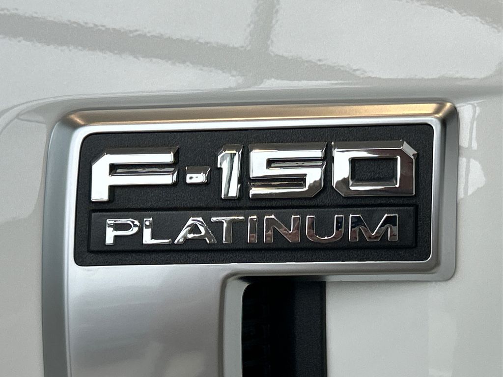 2024 Ford F-150 Platinum photo 11