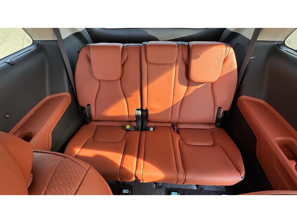 2026 Kia Carnival SX Prestige photo 20