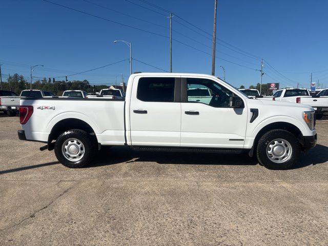 2022 Ford F-150 XL's photo