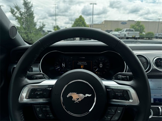 2023 Ford Mustang Mach 1 photo 15