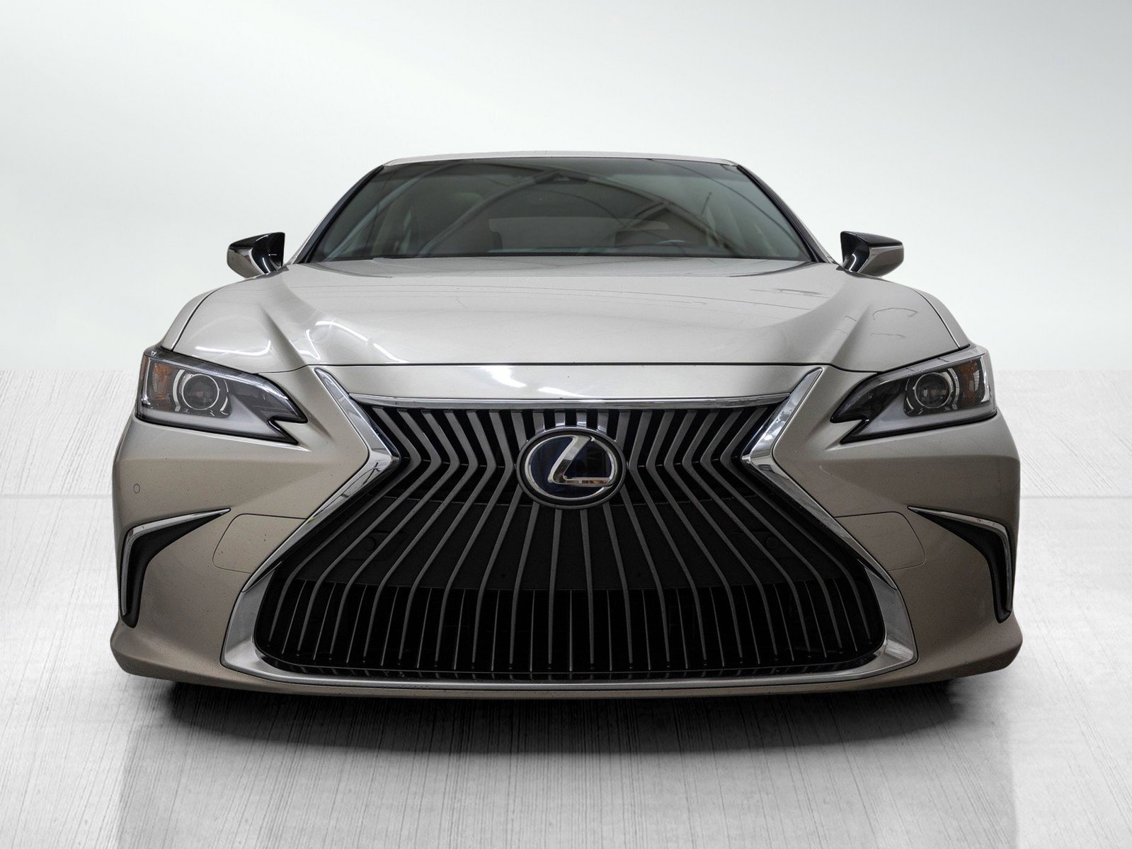 2019 Lexus ES 300h photo 2