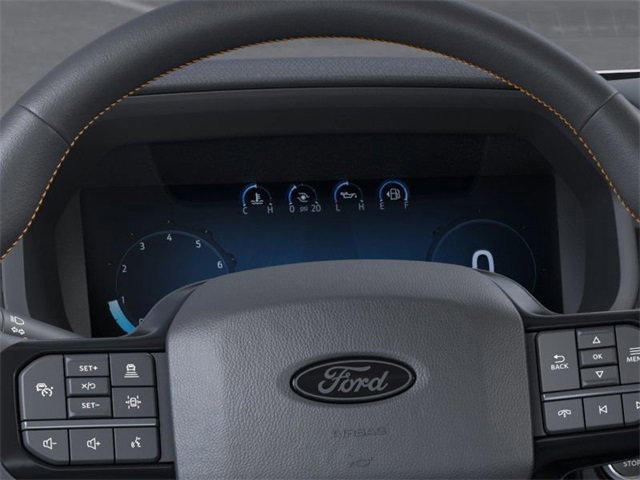 2025 Ford F-150 Tremor photo 11