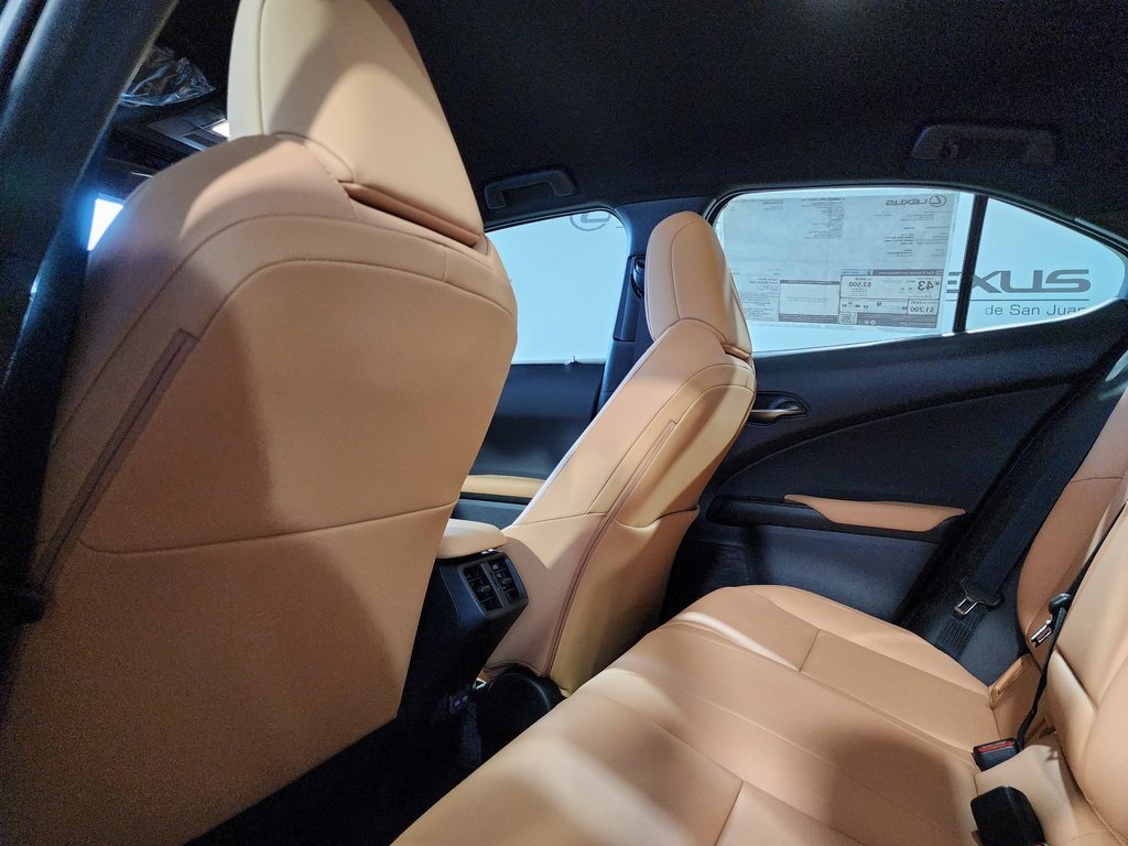 2025 Lexus UX photo 23