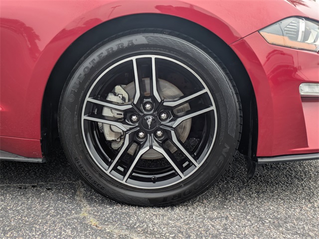 2023 Ford Mustang EcoBoost Premium Convertible photo 10