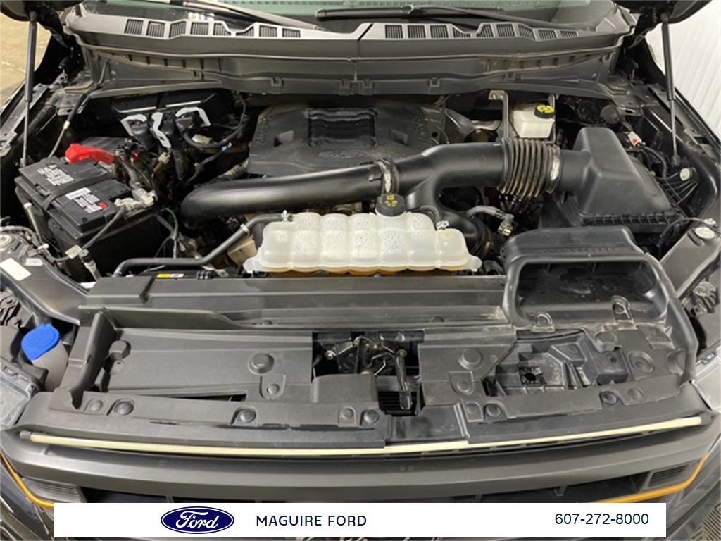 2023 Ford F-150 Tremor photo 12