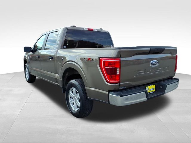 2023 Ford F-150 XLT photo 3