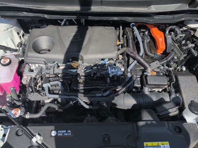 2025 Toyota Sienna Platinum photo 10