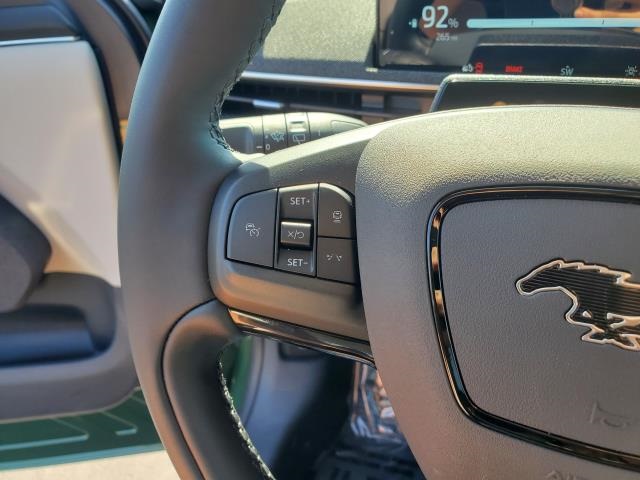 2025 Ford Mustang Mach-E Premium photo 15