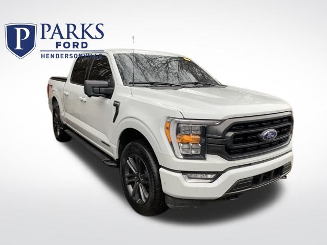 2023 Ford F-150 XLT's photo