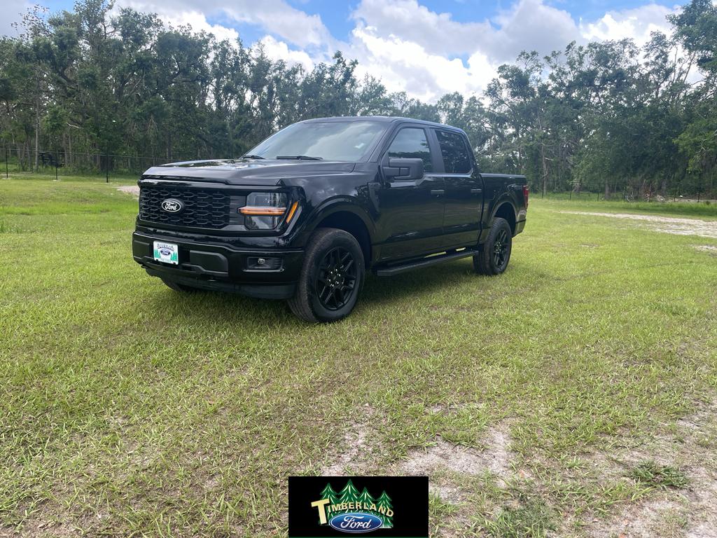 2025 Ford F-150 STX's photo