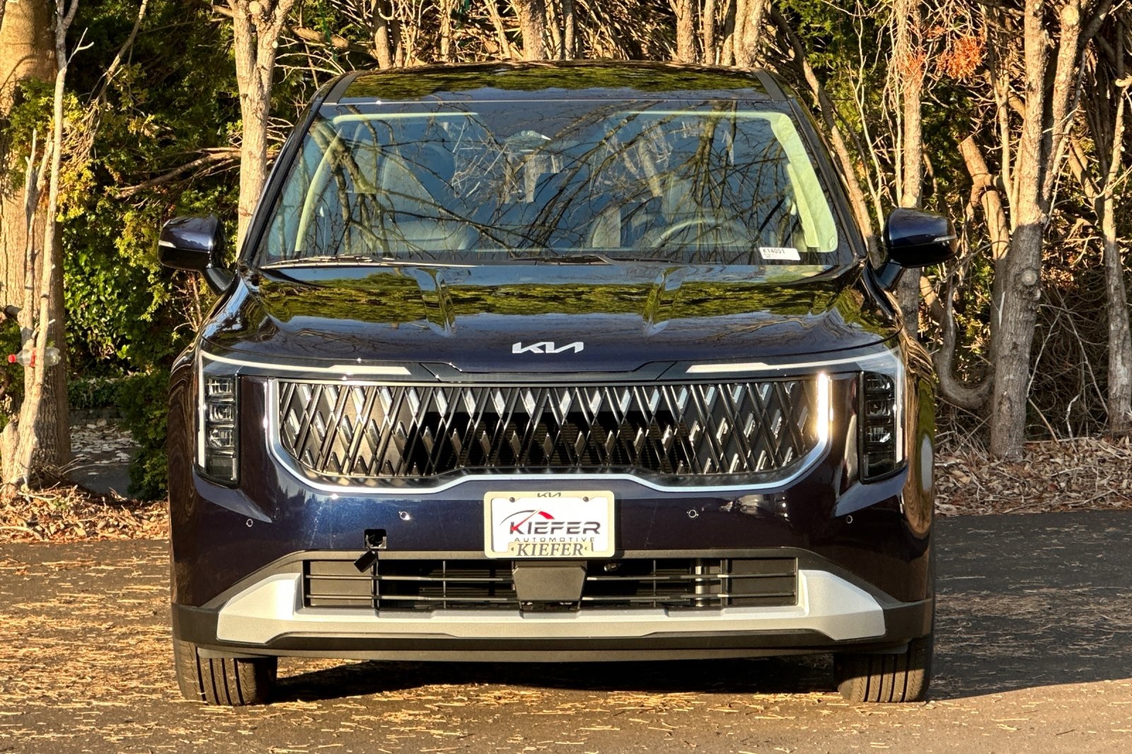 2026 Kia Carnival LXS photo 4