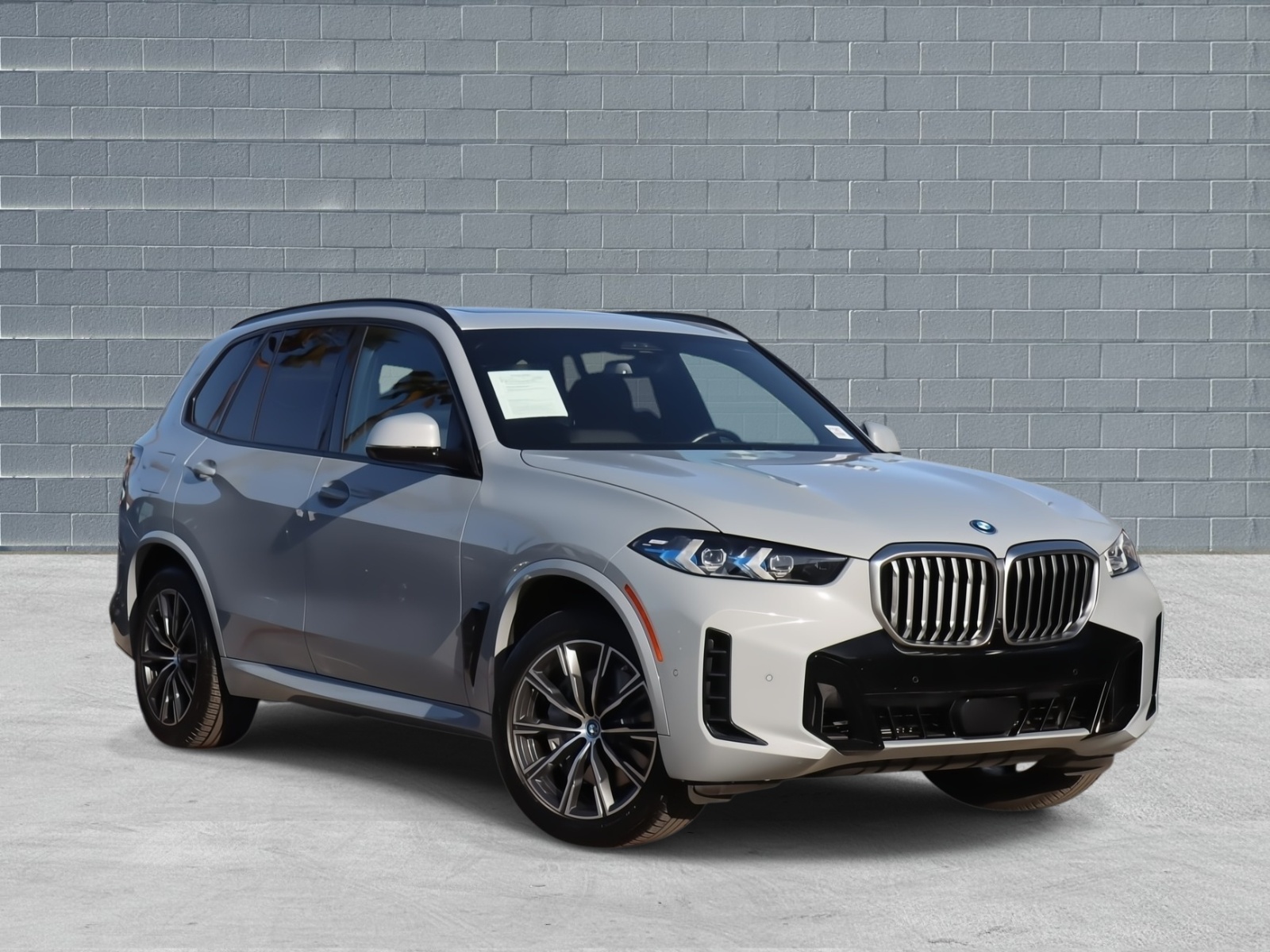 2024 BMW X5 50e's photo