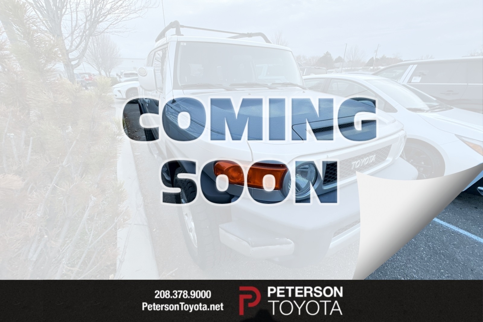 2007 Toyota FJ Cruiser Base's photo